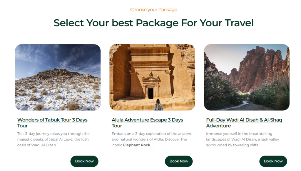 a screenshot of sjh tours packages page showing different packages to choose from